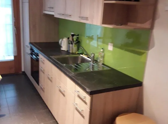 Apartament Ferienwohnung Gafner