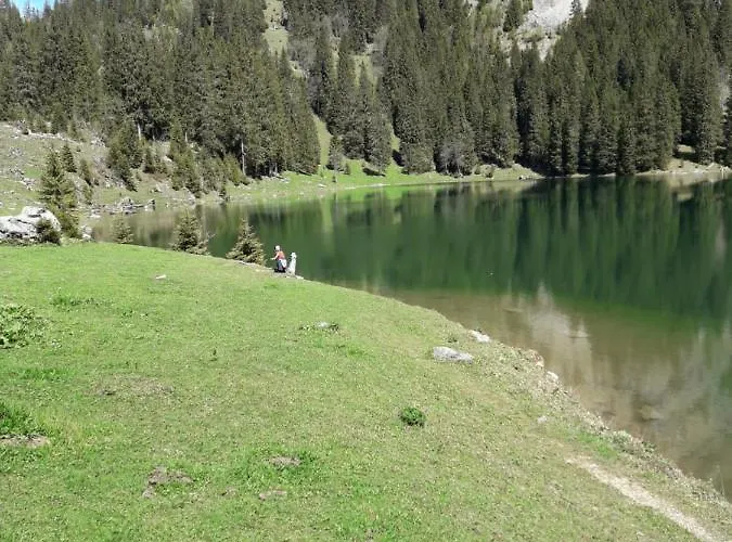 Ferienwohnung Gafner *