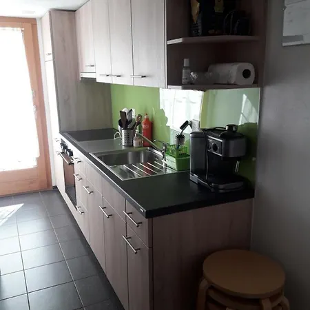 Apartamento Ferienwohnung Gafner *