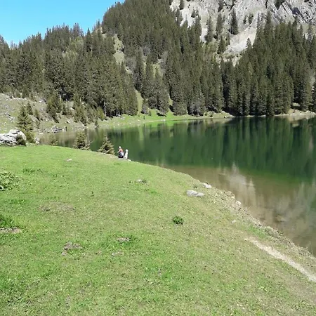 Ferienwohnung Gafner *
